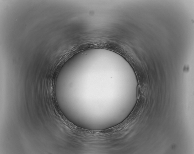 X0000094191298200710260945