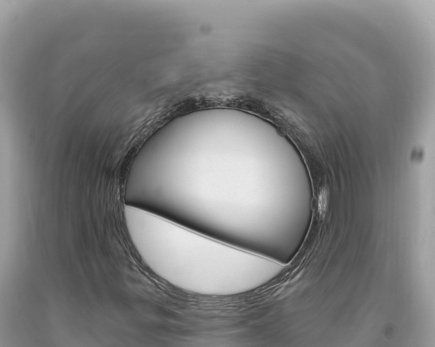 X0000094191299200710260945