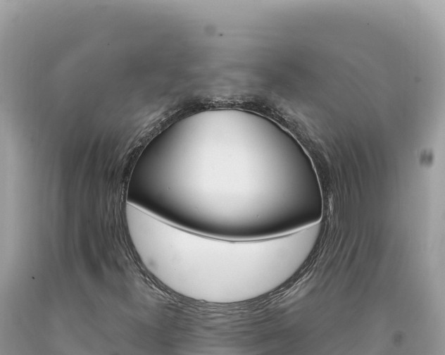 X0000094191300200710260945