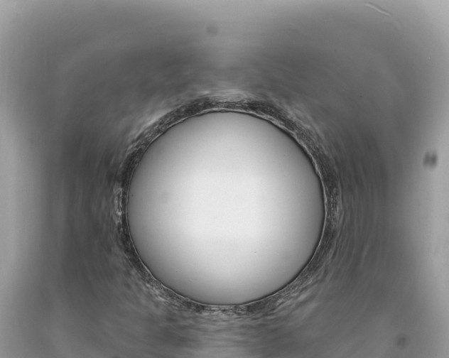 X0000094191301200710260945