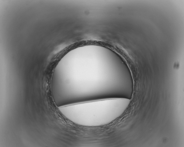 X0000094191303200710260945