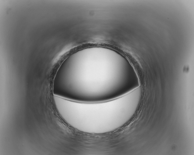 X0000094191304200710260945
