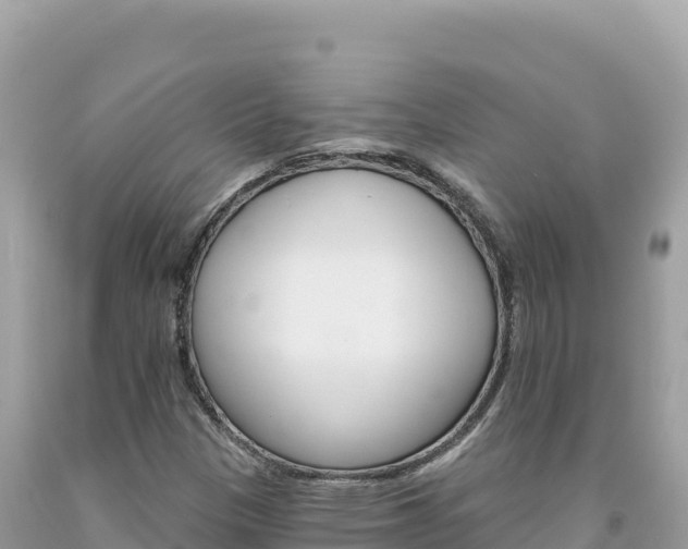 X0000094191305200710260945