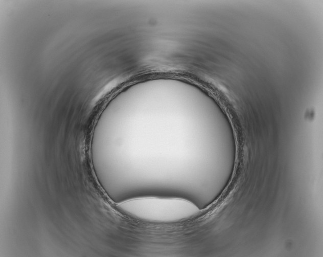 X0000094191306200710260945