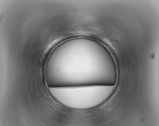 X0000094191307200710260945