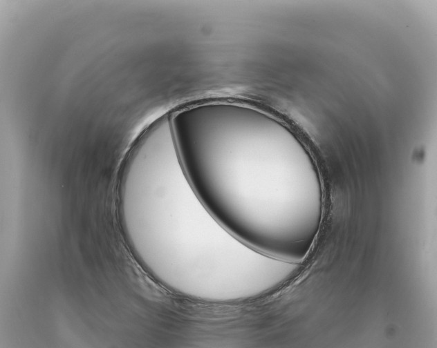 X0000094191308200710260945
