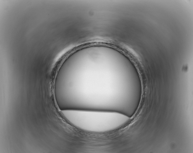X0000094191310200710260945