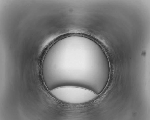 X0000094191311200710260945