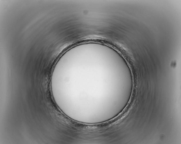 X0000094191313200710260945