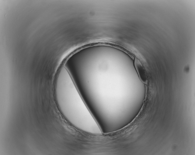 X0000094191316200710260945