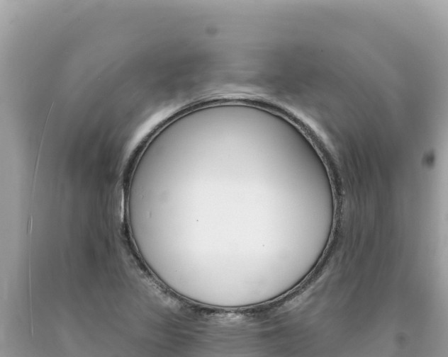 X0000094191317200710260945