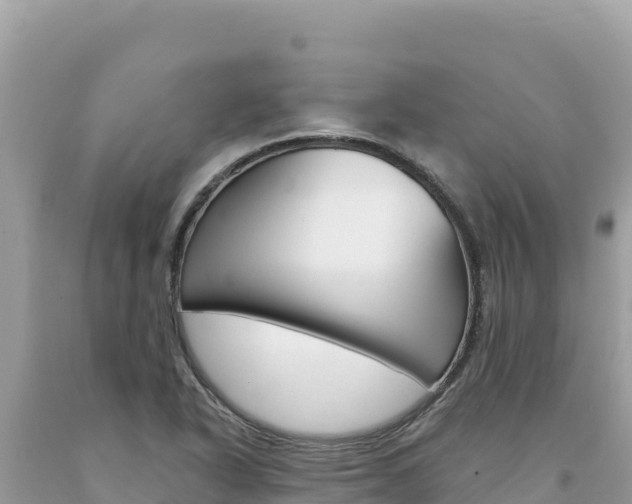 X0000094191318200710260945