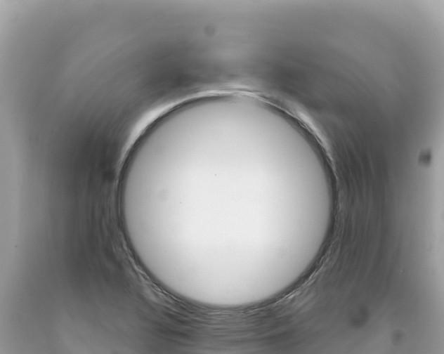 X0000094191320200710260945