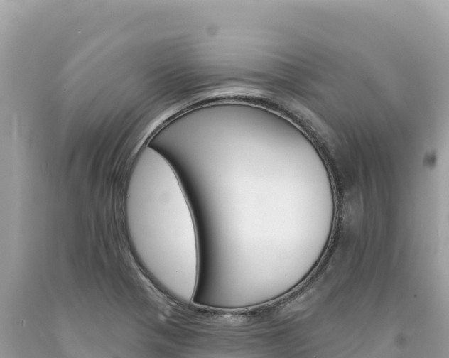 X0000094191321200710260945