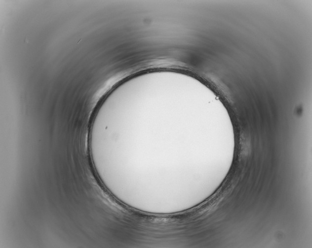 X0000094191322200710260945