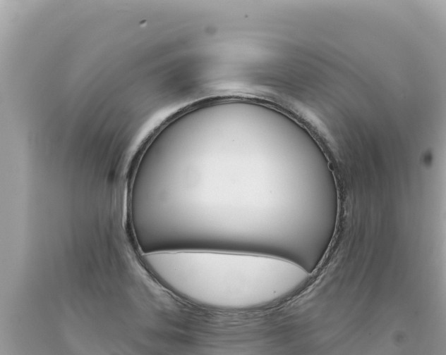 X0000094191323200710260945