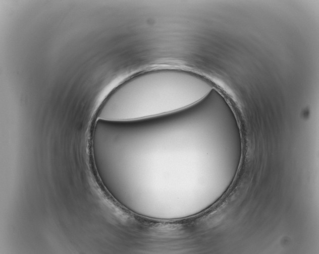 X0000094191325200710260945