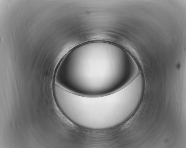 X0000094191330200710260946