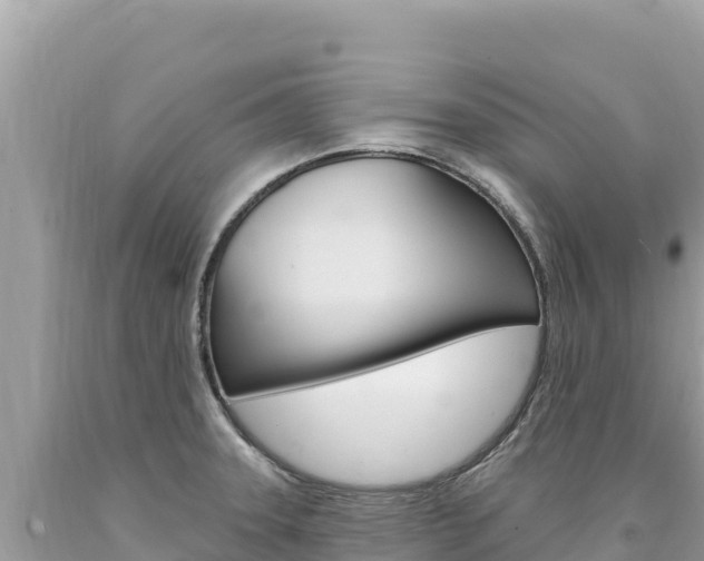 X0000094191331200710260946