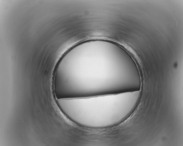 X0000094191333200710260946