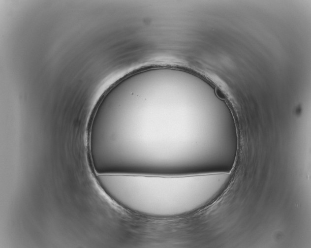 X0000094191335200710260946
