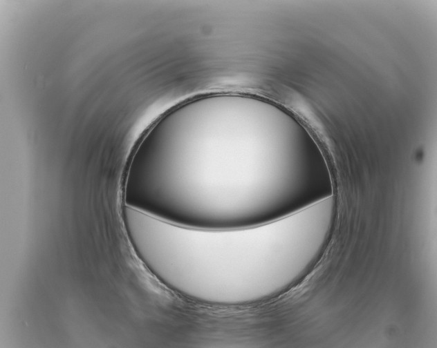 X0000094191336200710260946