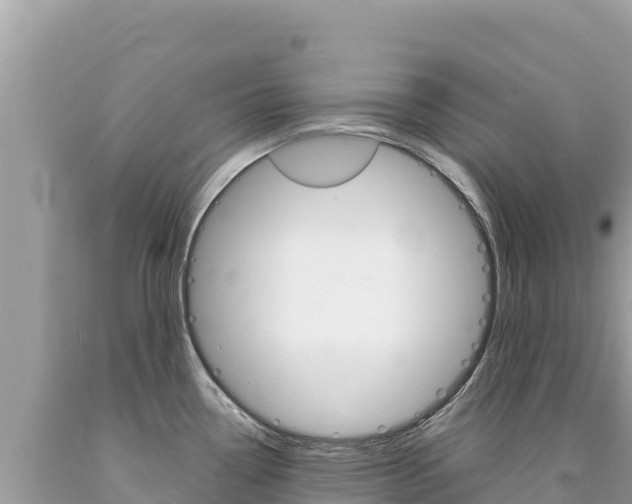 X0000094191338200710260946