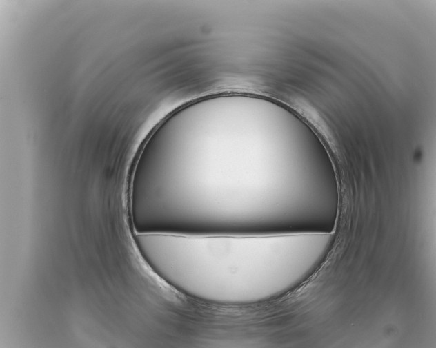 X0000094191339200710260946