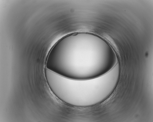 X0000094191340200710260946