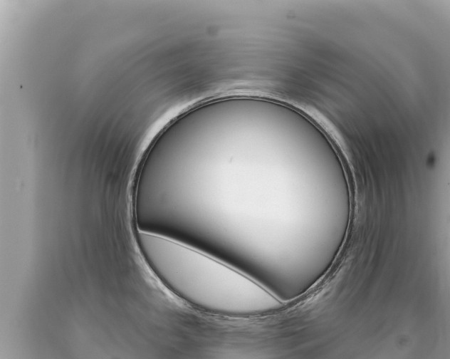 X0000094191341200710260946