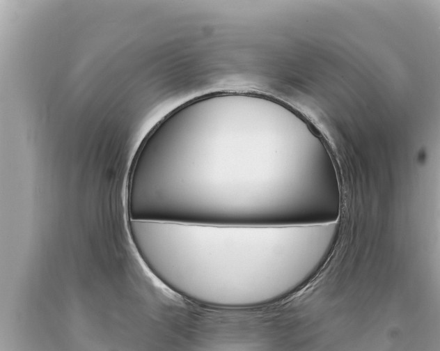 X0000094191343200710260946