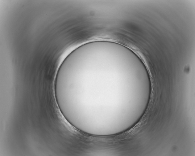 X0000094191344200710260946