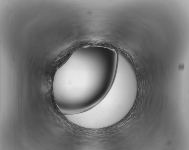 X0000094191349200710260945
