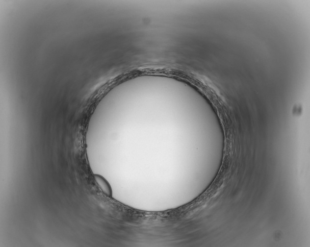 X0000094191350200710260945
