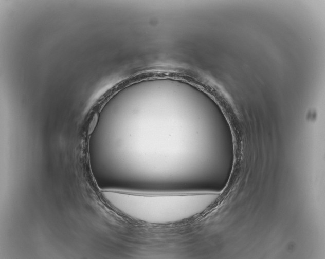 X0000094191352200710260945