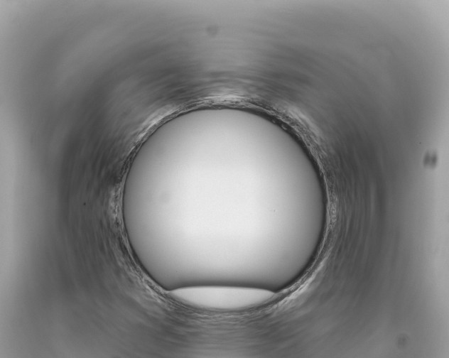 X0000094191353200710260945