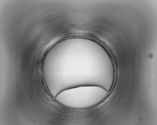 X0000094191354200710260945