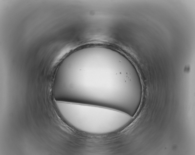 X0000094191355200710260945