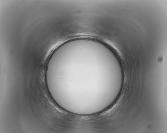 X0000094191357200710260945