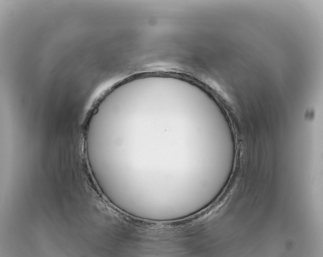 X0000094191358200710260945
