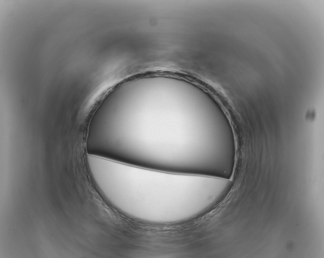 X0000094191359200710260945