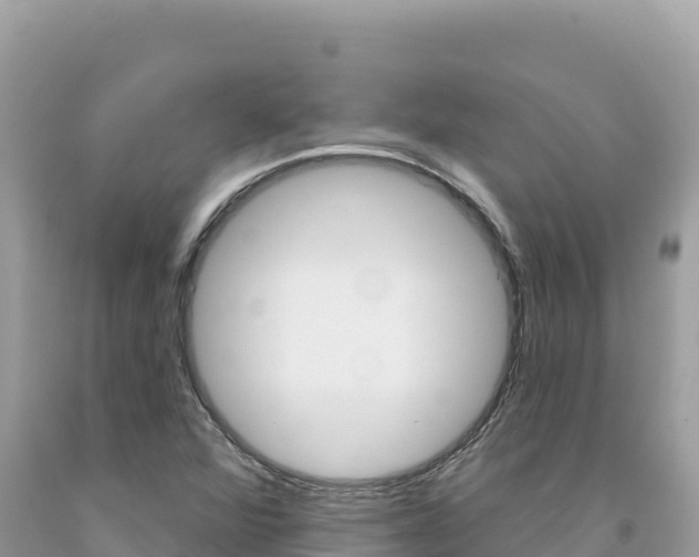 X0000094191360200710260945