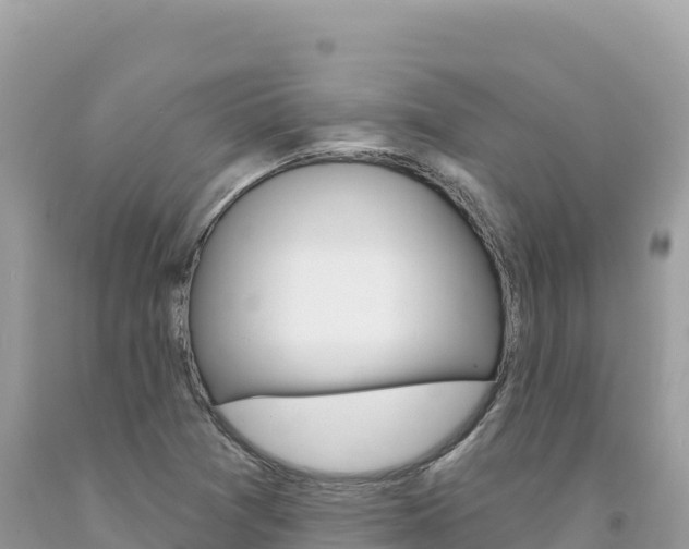 X0000094191361200710260945