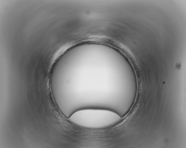 X0000094191362200710260945