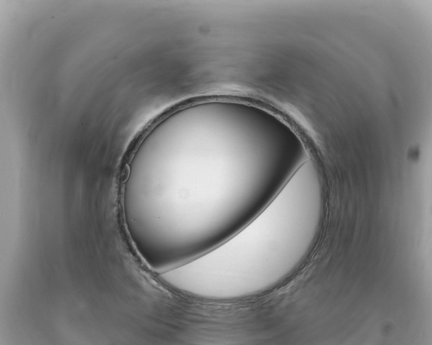 X0000094191364200710260945