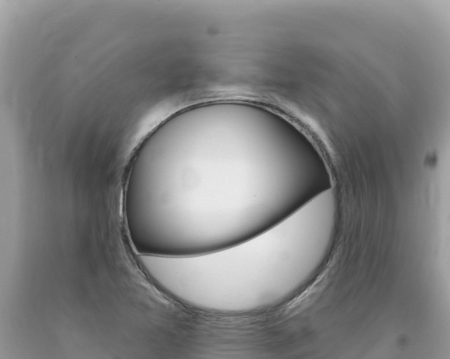 X0000094191365200710260945