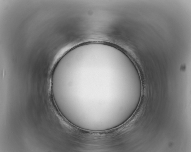 X0000094191366200710260945