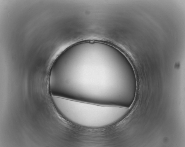 X0000094191367200710260945