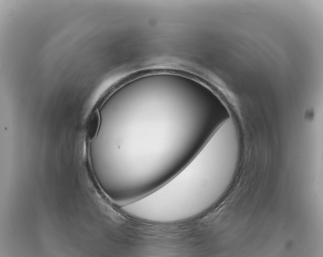 X0000094191368200710260945