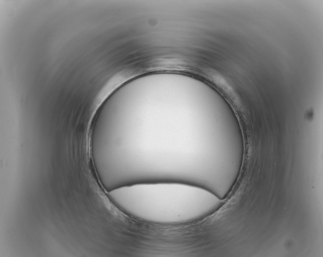 X0000094191370200710260945